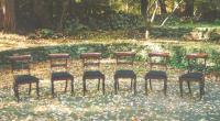 English William lV 6 antique Regency chairs