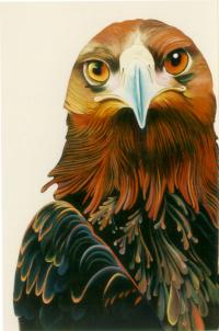 Surreal Golden Eagle Oil Richard Montross