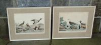 Pair of Antique Colored Lithographs