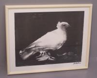 Pablo Picasso lithograph of Dove c1969