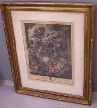 A Fruit Piece Lithograph late 18th early 19th century