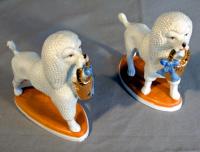PR Continental blanc de chine porcelain poodle figures on plinths