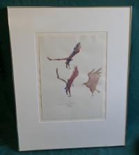 John W Mills signed Birds of prey watercolor c1976