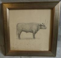 Fannie Burr pencil drawing of a bull on paper 1880