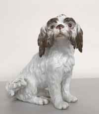 19th c Meissen porcelain Bolognese spaniel