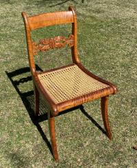 Tiger maple Federal period chair with acanthus back