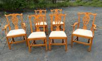 Eldred Wheeler tiger maple dining chairs in Chippendale style