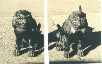 Japanese wood carving antique guard dogs