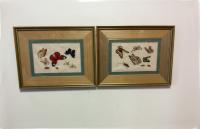 Chinese export paintings of insects c1840