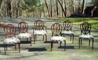 Centennial Set American Shield back chairs