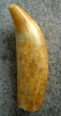 Antique American Scrimshaw Sailor Whale Tooth with Etchings