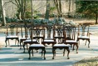 Set of twelve American Chippendale ball and claw foot centennial chairs