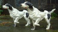 Antique 19th Century Cast Iron Pair of Dogs Door Stops