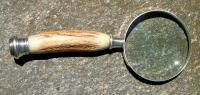 Staghorn Sterling Silver Magnifying Glass