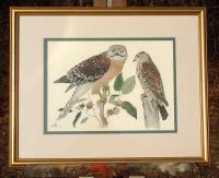 Rex Brasher Lithograph Print Red Shouldered Hawk