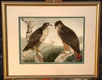 Rex Brasher Lithograph Print Harlan Hawks