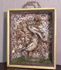 Antique 19th Century Birds Diorama shadow box