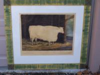 The Durham White Ox engraving by W M Ward c1813