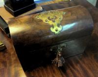 English dome top burl walnut tea caddy c1830