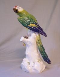Large Meissen porcelain parrot