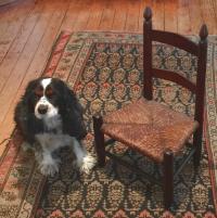 Early American ladder back childs chair c1800