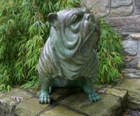 Life size bronze bull dog sculpture